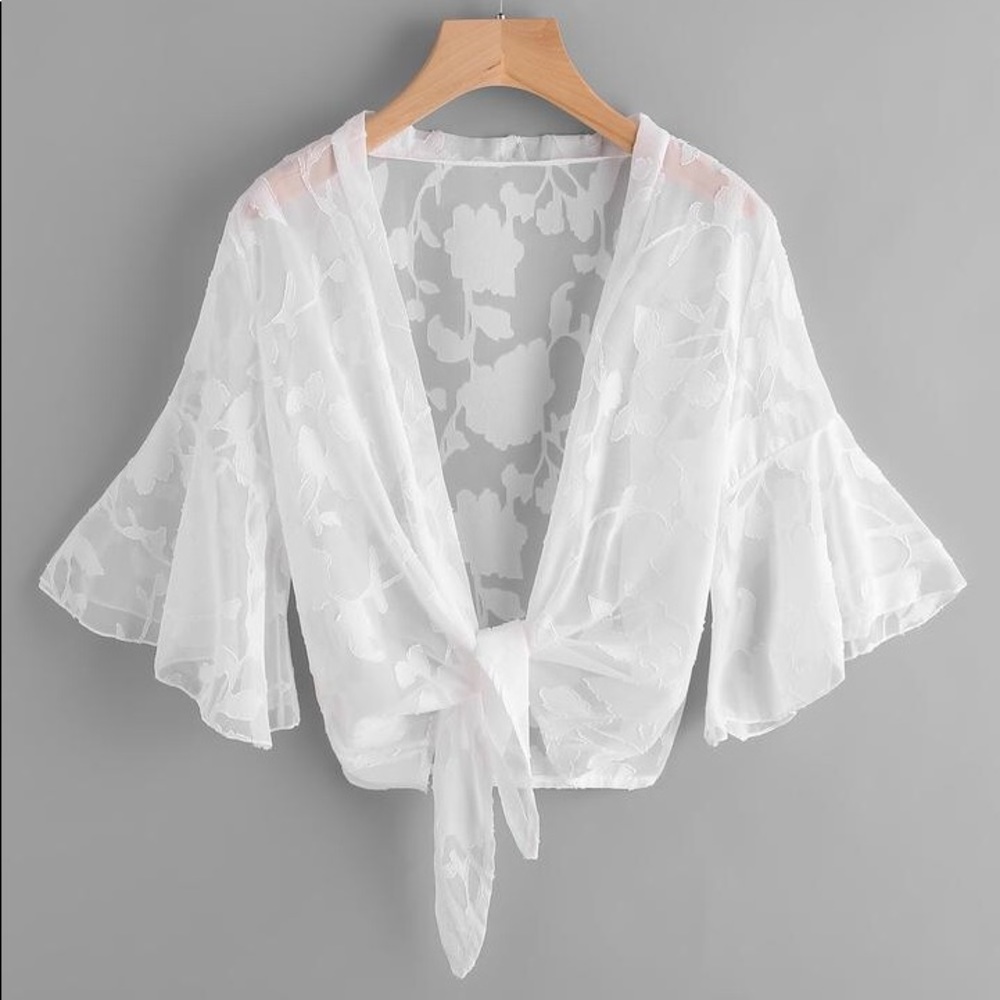 Babes and Felines Bell Sleeve Sheer Mesh Kimono